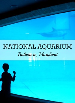 National aquarium