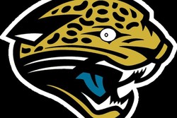 New jaguar