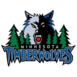 New minnesota timberwolves