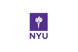 New york university