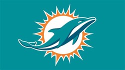 Nfl dolphins