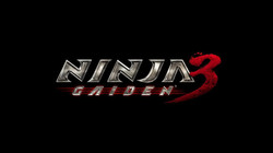 Ninja gaiden