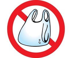 No plastic bag