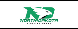 North dakota fighting hawks