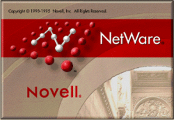 Novell cne
