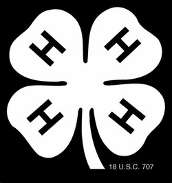 Official 4 h