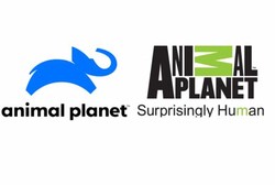 Old animal planet