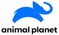 Old animal planet