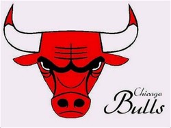 Old bulls