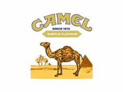 Old camel cigarette