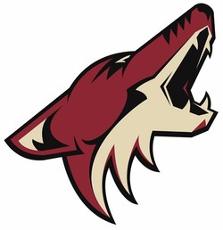 Old coyotes
