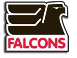 Old falcons
