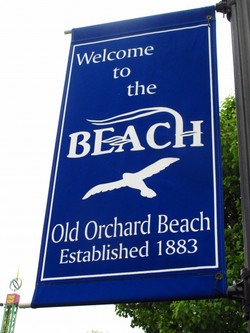 Old orchard