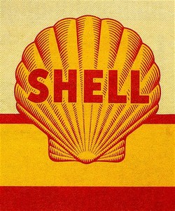 Old shell