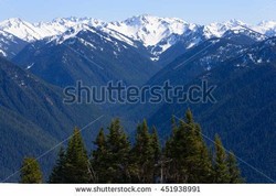Olympic national park