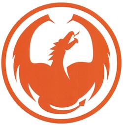 Orange dragon