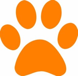 Orange paw print