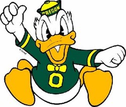 Oregon ducks puddles