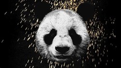Panda desiigner