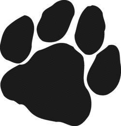 Panther paw