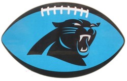 Panthers football
