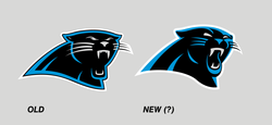 Panthers new