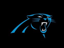 Panthers new