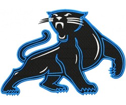 Panthers old