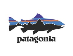 Patagonia fish