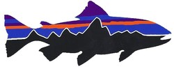 Patagonia fish