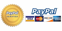Paypal secure payment