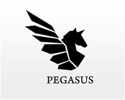 Pegasus company