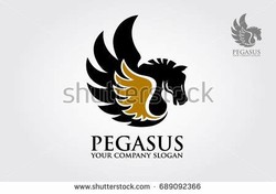 Pegasus company