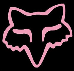 Pink fox