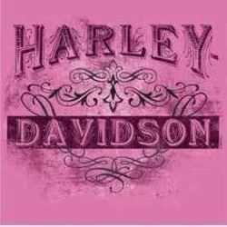 Pink harley davidson