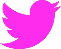 Pink twitter