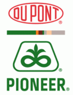 Pioneer seed