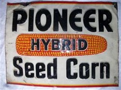 Pioneer seed corn