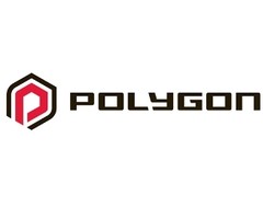 Polygon homes