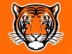 Princeton tigers