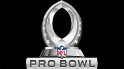 Pro bowl