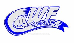 Pro wrestling