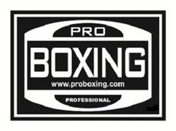Professional boxing