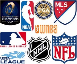 Professional sports league