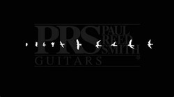Prs guitars