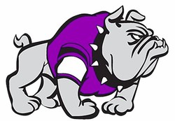 Purple bulldog