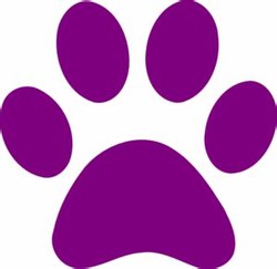 Purple paw