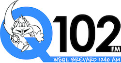 Q102