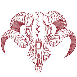 Rams skull