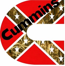 Rebel flag cummins